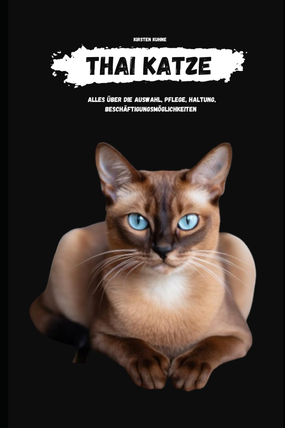 Thai Katze: alles über Auswahl, Haltung, Pflege, Beschäftigungsmöglichkeiten Pets