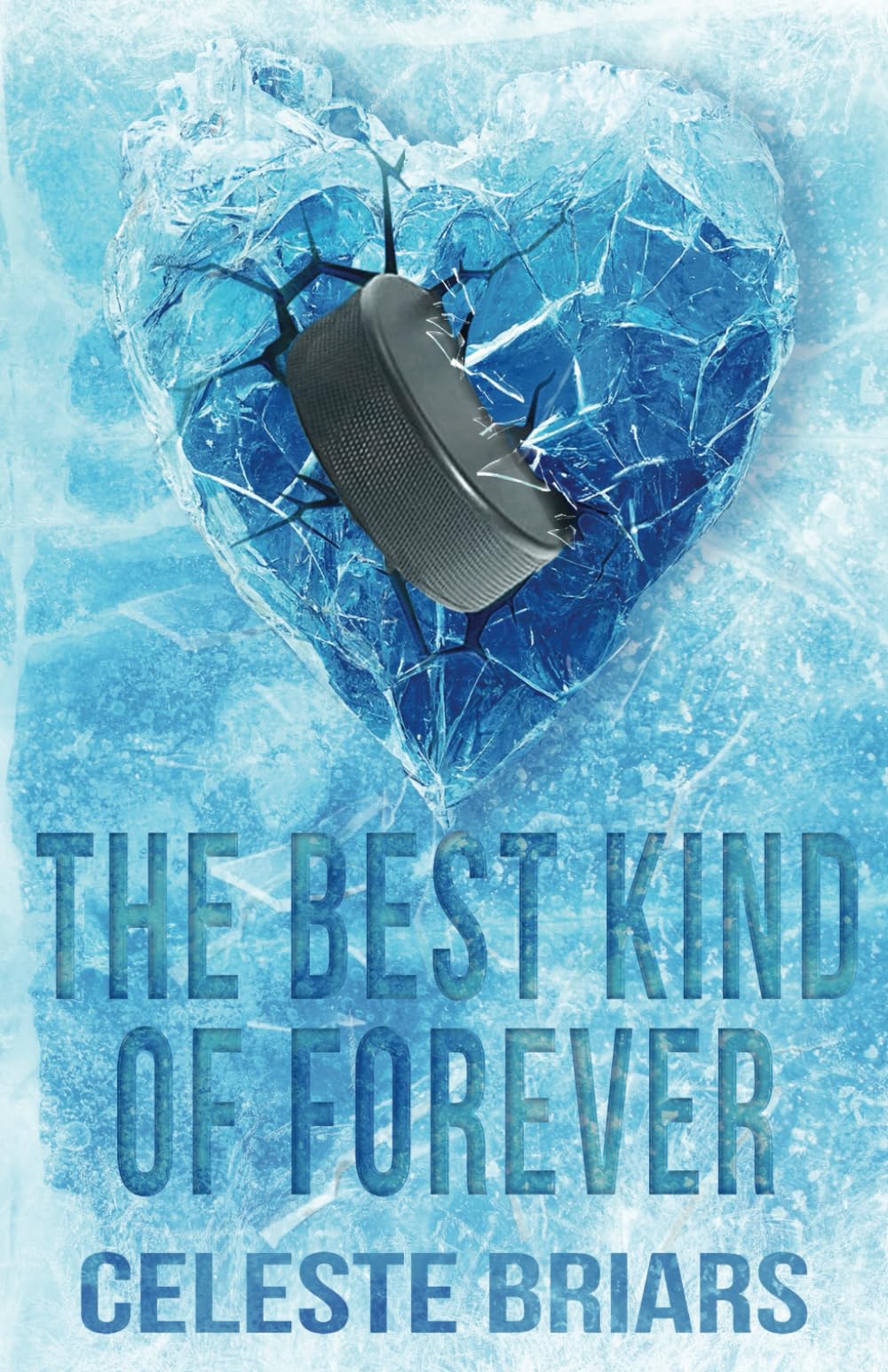 The Best Kind of Forever (ALTERNATIVE COVER) New Adult