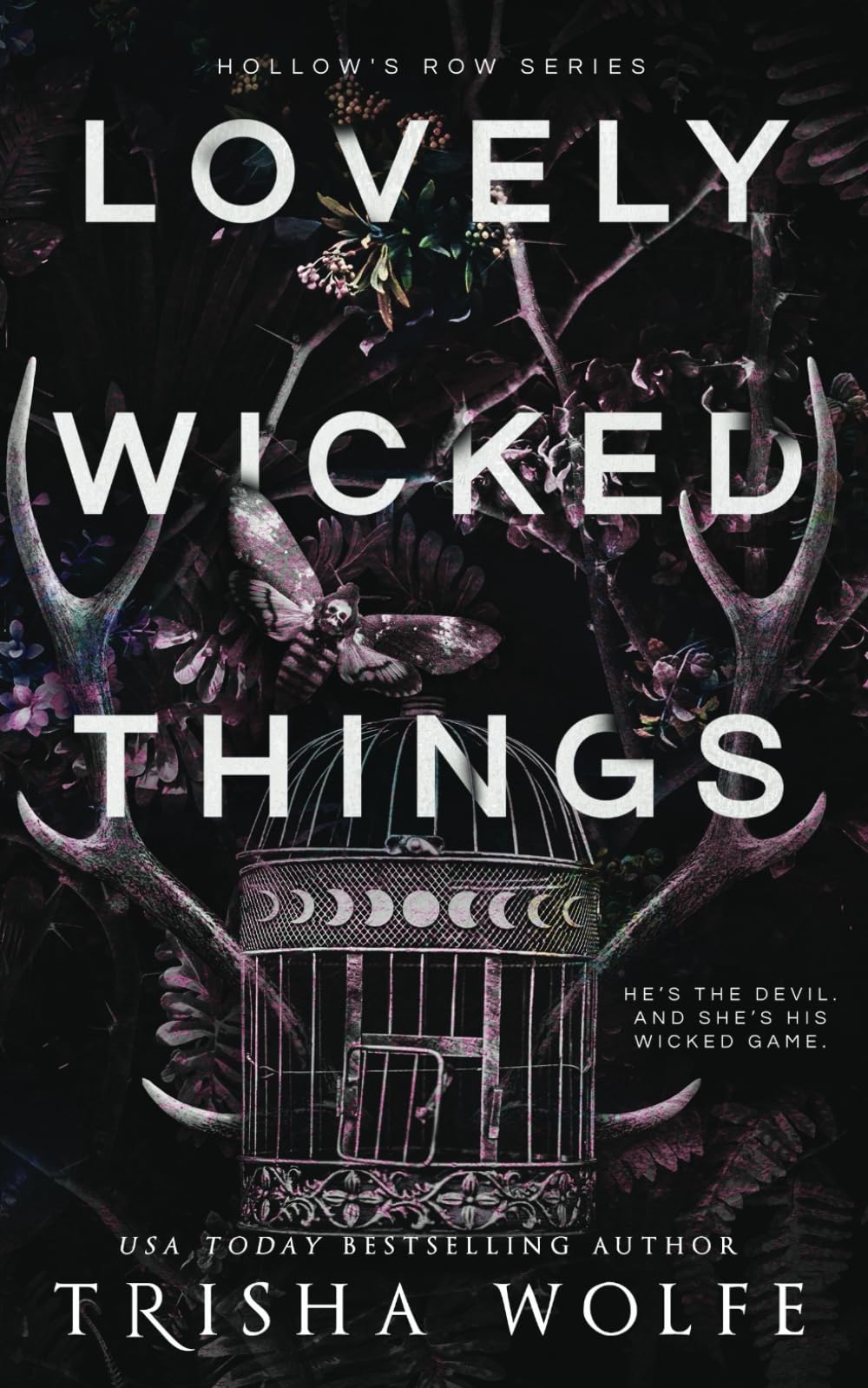Lovely Wicked Things (Hollow's Row, Band 3) Romantic Thrillers