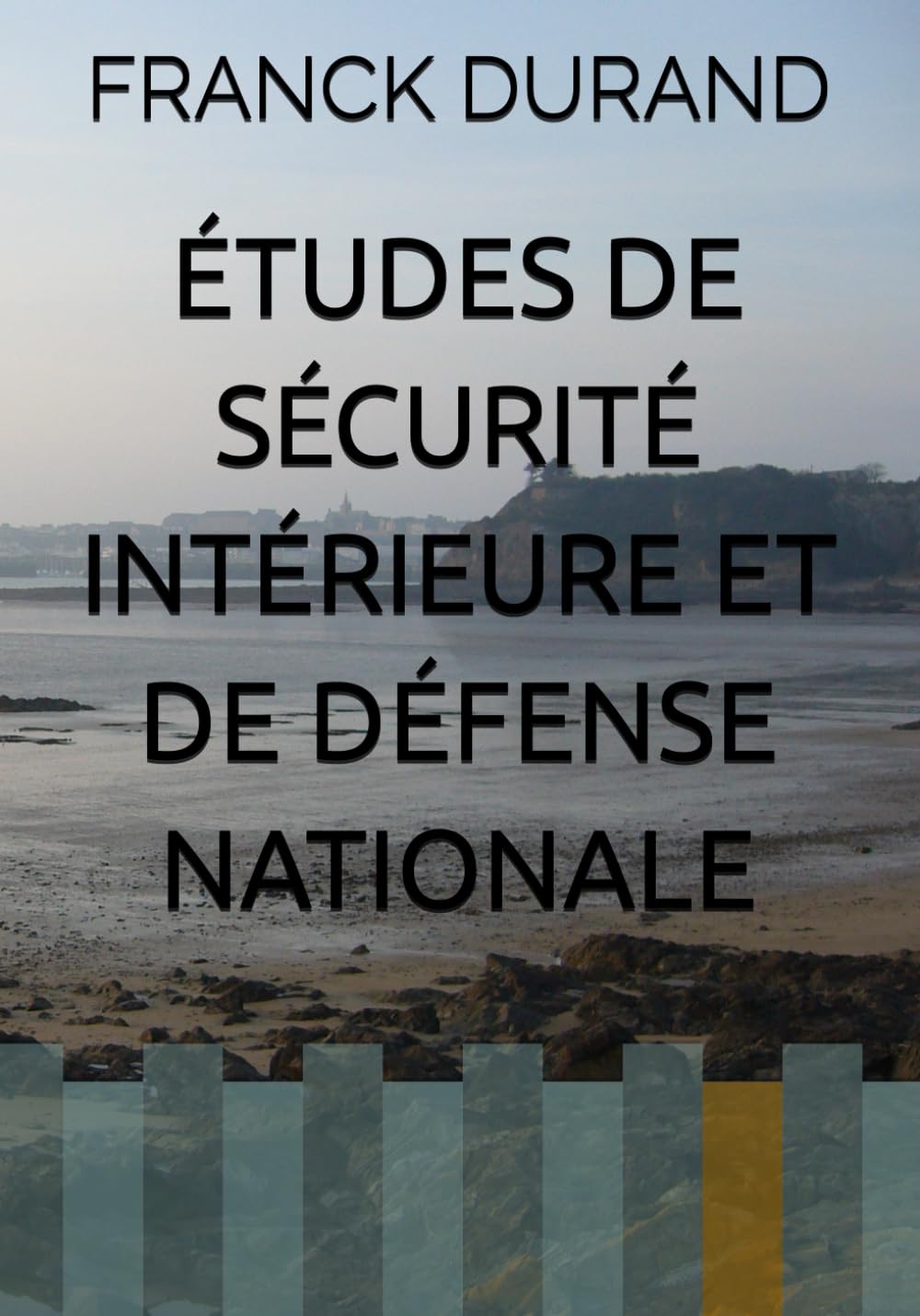 ÉTUDES DE SÉCURITÉ INTÉRIEURE ET DE DÉFENSE NATIONALE book