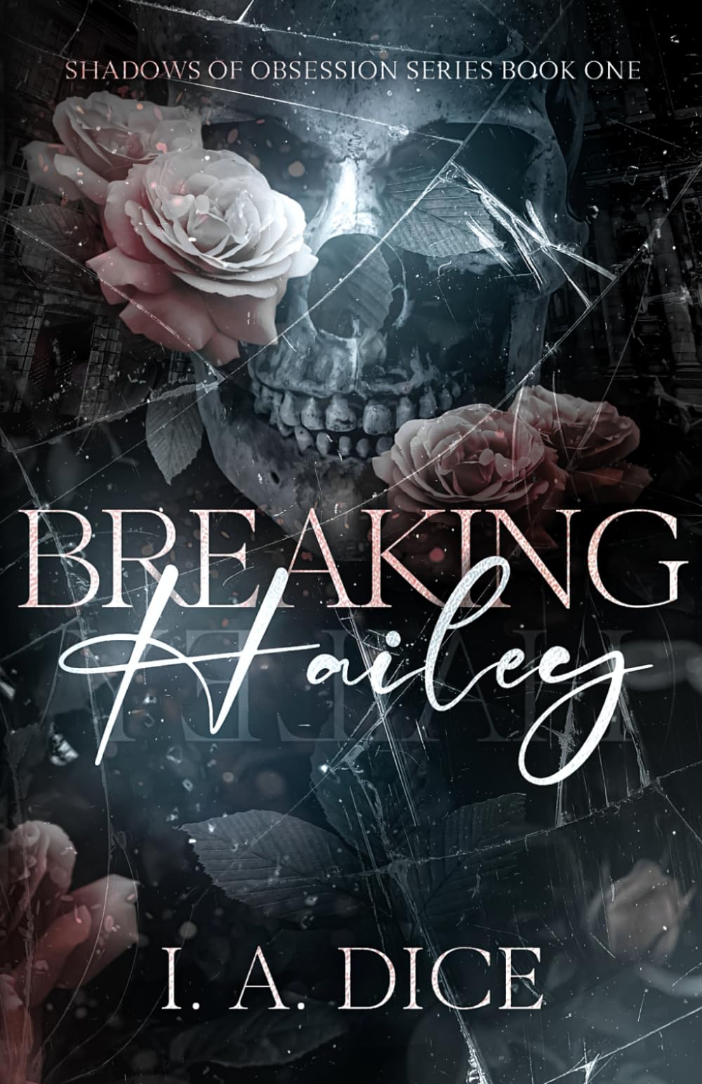 Breaking Hailey (Shadows of Obsession, Band 1) Contemporary literature