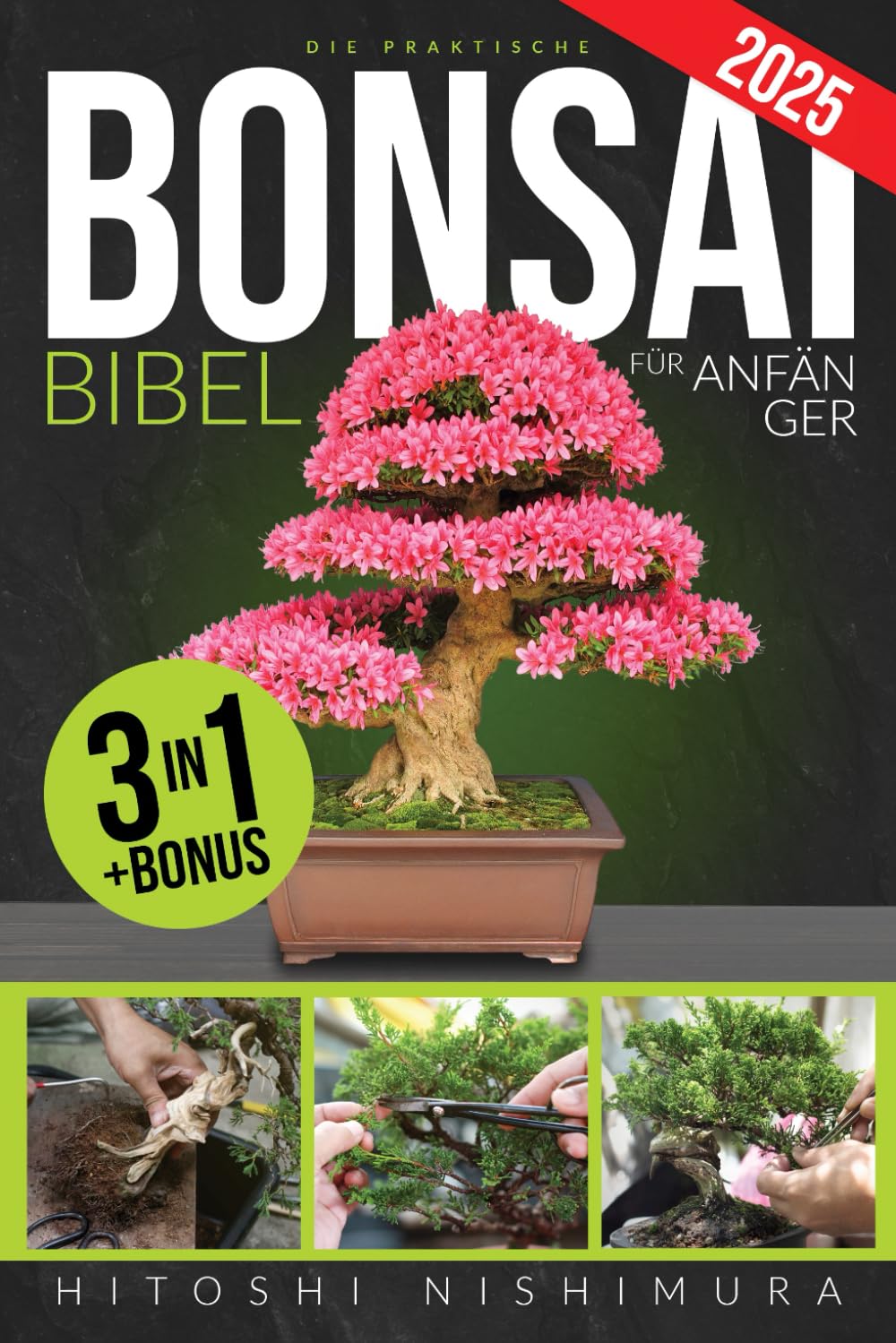 Die Praktische Bonsai-bibel Für Anfänger: Entdecken Sie Alle Geheimnisse Dieser Alten Asiatischen Kunst, Um Einen Unvergänglichen Bonsai Zu Züchten Und Zu Pflegen Architecture