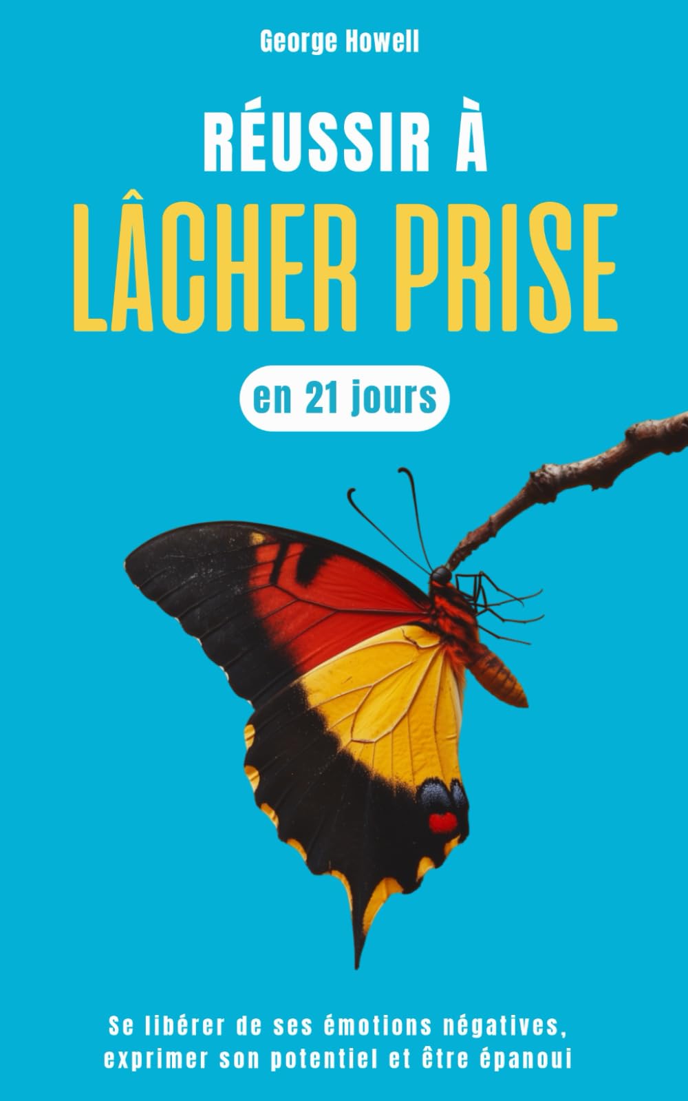 Réussir à lâcher prise en 21 jours: se libérer de ses émotions négatives, exprimer son potentiel et être épanoui book