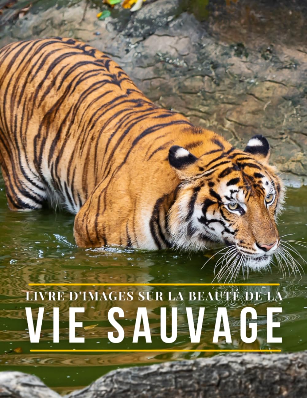 Livre d'Images sur La Beauté de La Vie Sauvage: Un livre de photos d'animaux sauvages pour aider la mémoire des personnes âgées et des adultes atteints de démence ou d'Alzheimer. book