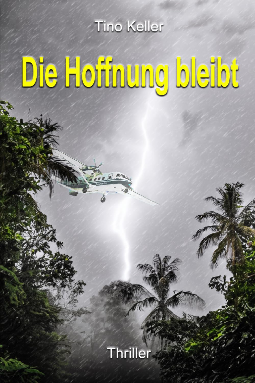 Die Hoffnung bleibt: Eine Notlandung, die das Leben änderte Suspense & Thrillers