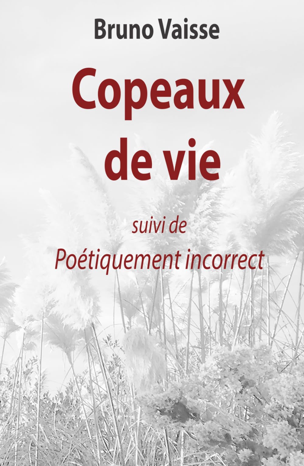 Copeaux de vie: Poétiquement incorrect book