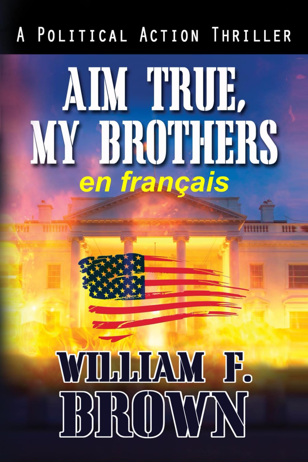 Aim True, My Brothers, en français: Visez vrai, mes frères, un thriller au Moyen-Orient book