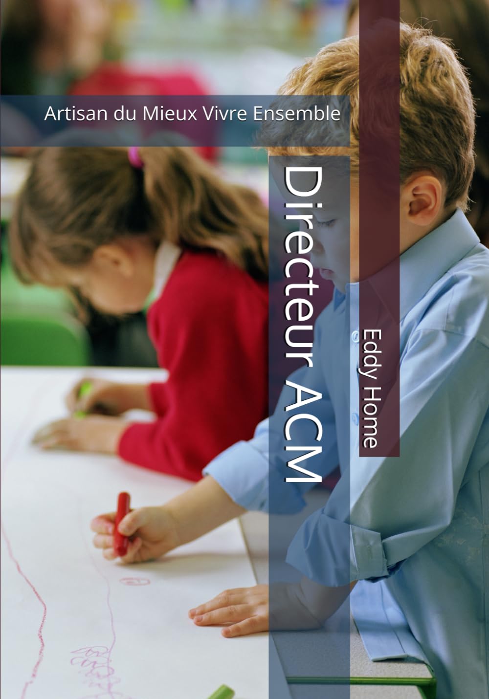 Directeur ACM: Artisan du Mieux Vivre Ensemble book
