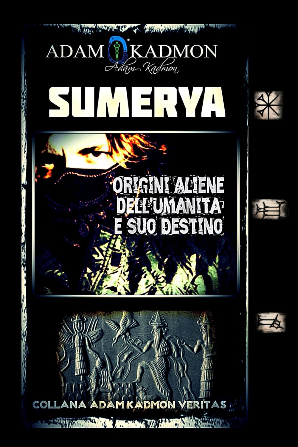 SUMERYA: Origini Aliene dell'Umanità e suo Destino book