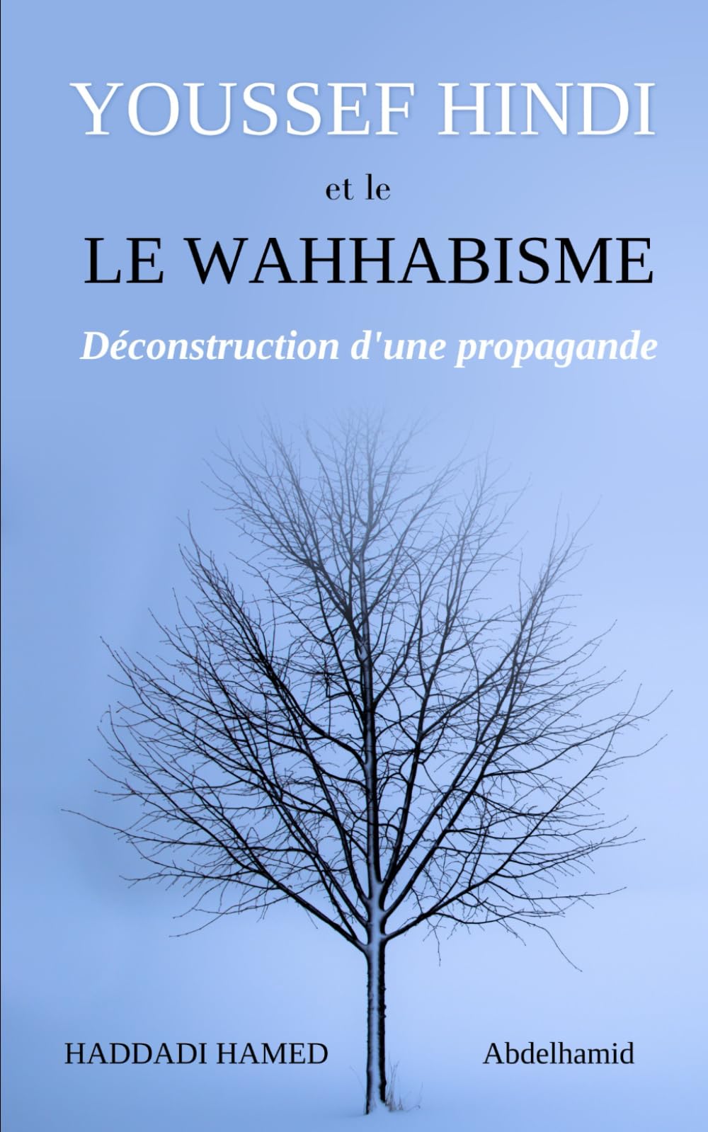 YOUSSEF HINDI ET LE WAHHABISME. Déconstruction d'une propagande. book