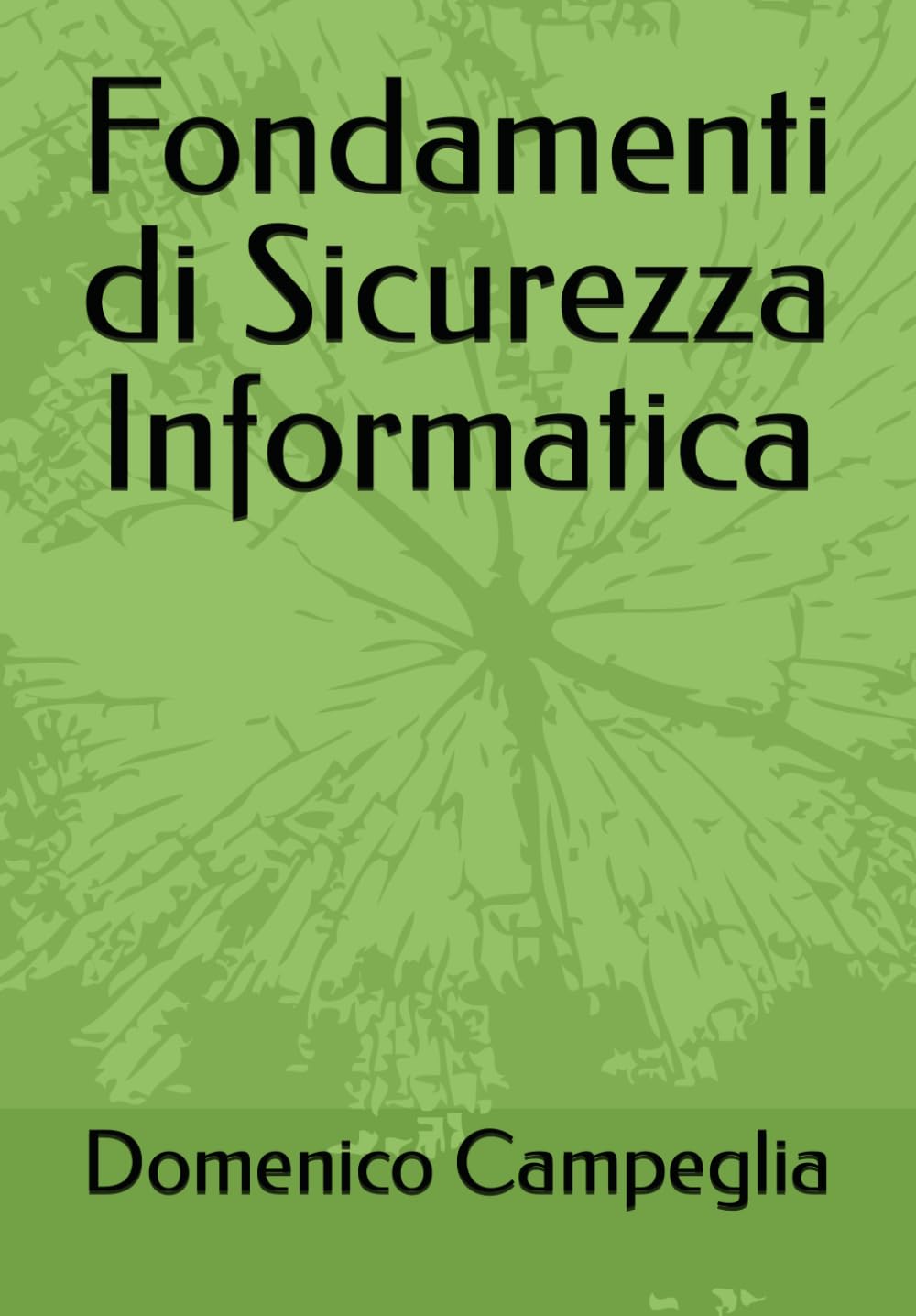 Fondamenti di Sicurezza Informatica book