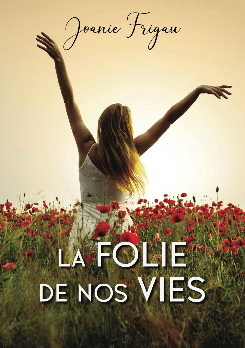 La folie de nos vies book