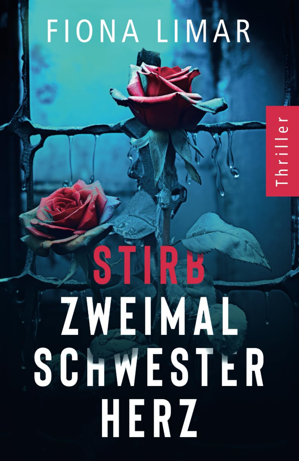 Stirb zweimal, Schwesterherz (Psychiatrie-Thriller, Band 1) Detective & CSI