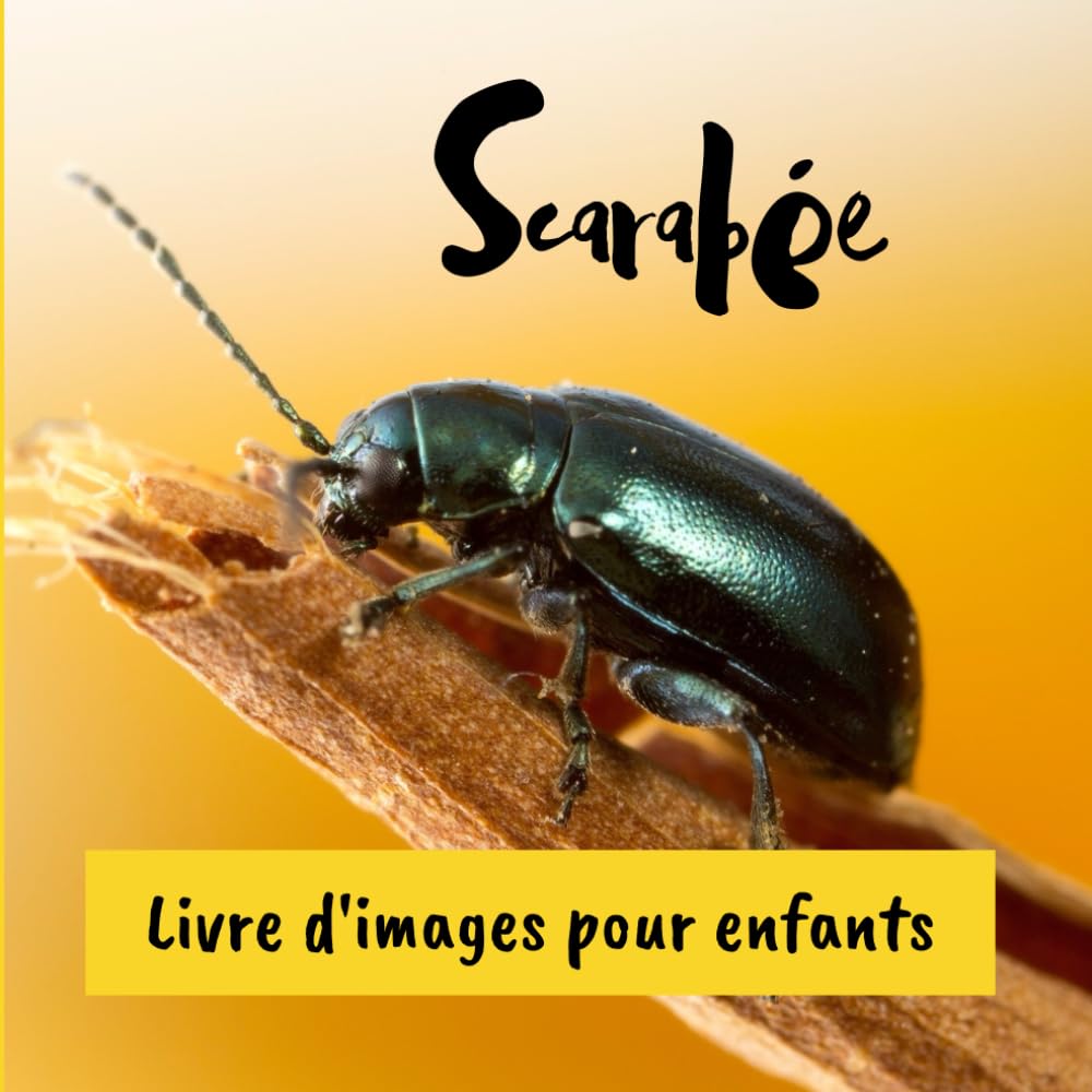 Scarabée: Livre d'images pour enfants book