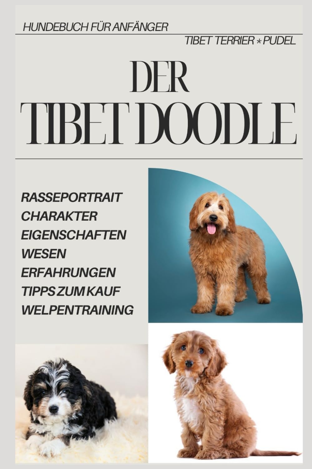 Ratgeber - Der Tibet Doodle, Tibet Terrier x Pudel, Rasse-Beschreibung-Portrait, Wesen, Charakter, Eigenschaften, Gesundheit: Welpenbuch, Hundebuch ... Fakten, Wesensmerkmale, viele Tipps und mehr Lifestyle