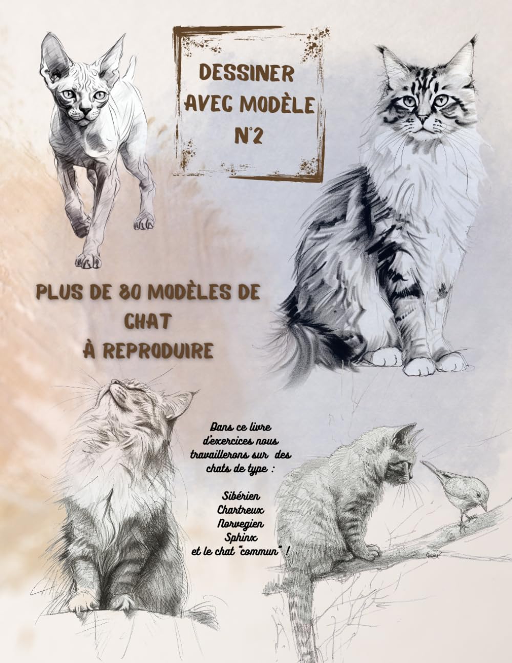 Beau cahier d'exercices de dessin "Dessiner avec modèle n°2" – 189 pages - + de 80 modèles de chat à dessiner (type Sibérien Chartreux Norvegien Sphinx et le chat commun, de gouttière..) book