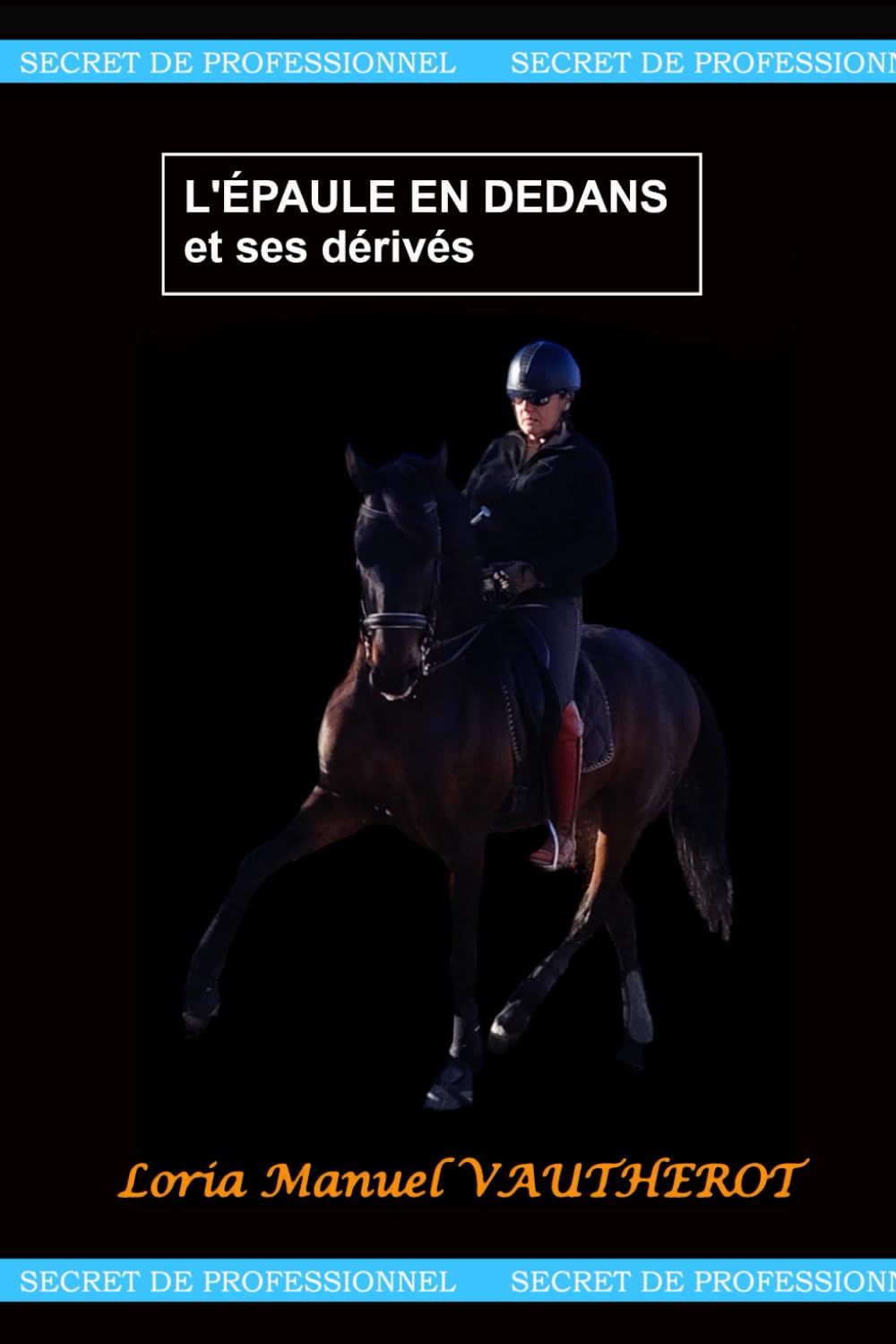 L'ÉPAULE EN DEDANS ET SES DÉRIVÉS book