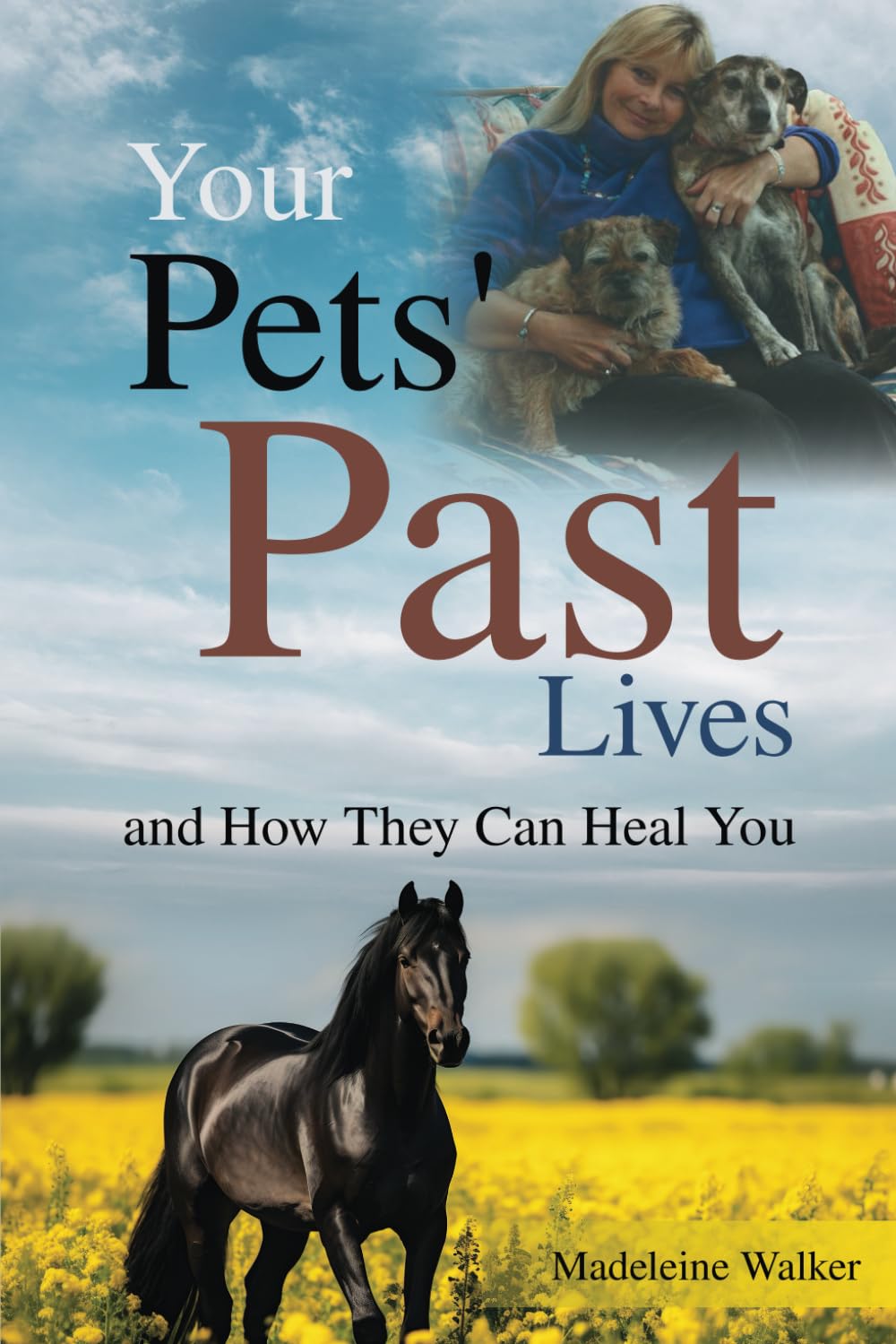 Your Pets' Past LIves: How They Can Heal You Lifestyle