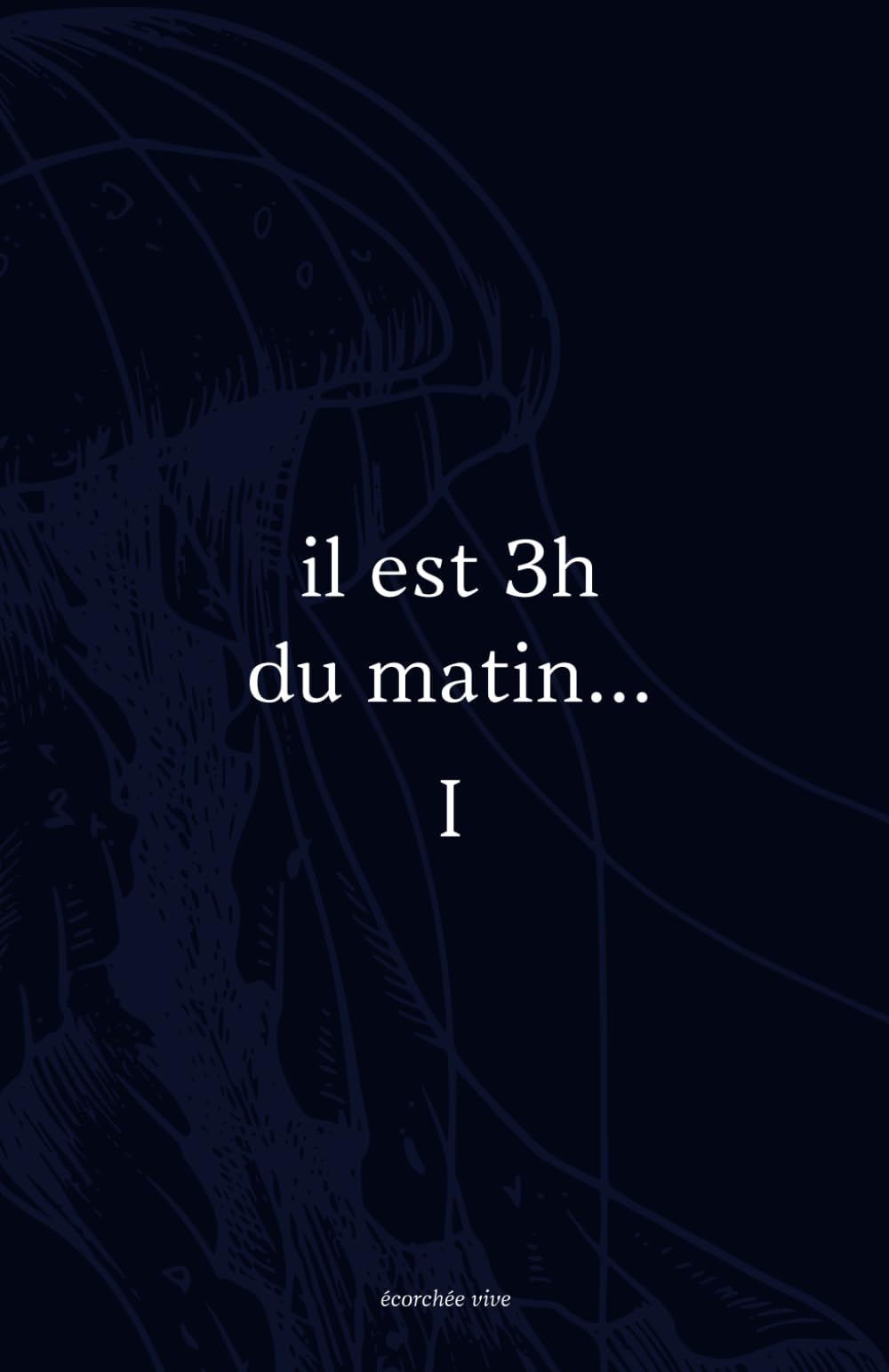 Product Image: Il est 3h du matin... I