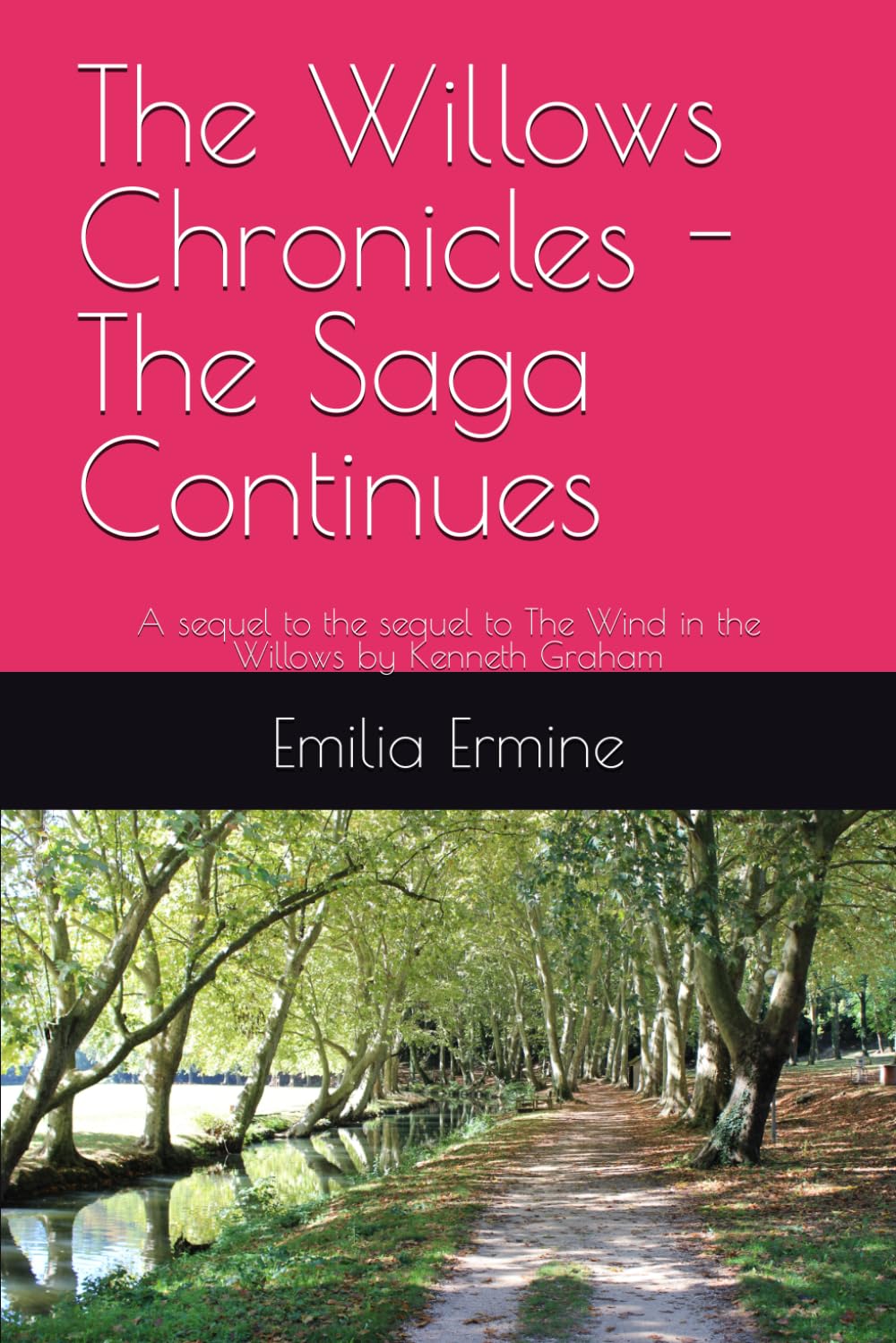 The Willows Chronicles - The Saga Continues: A sequel to the sequel to The Wind in the Willows by Kenneth Graham (The Willows series, Band 2) Non-fiction
