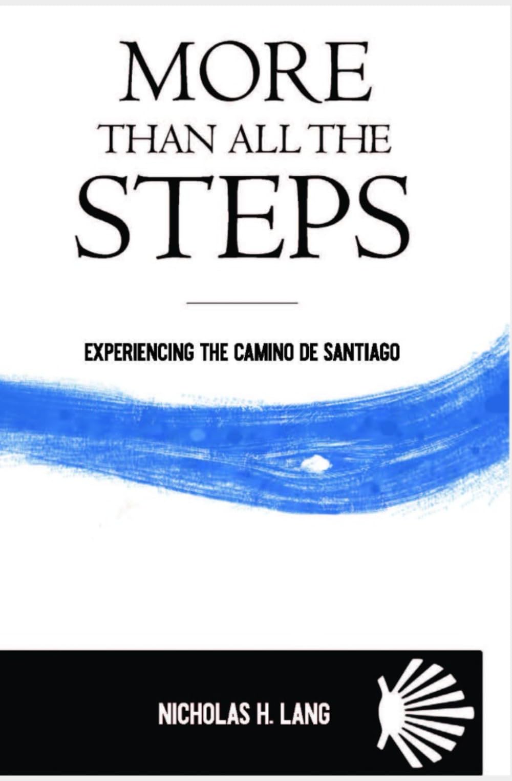 More Than All The Steps: Experiencing The Camino De Santiago book