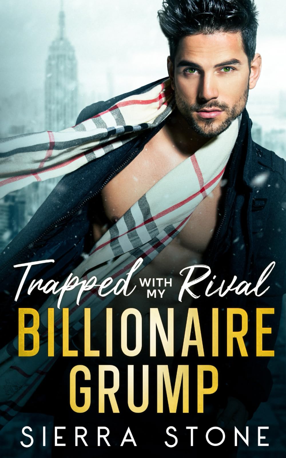 Trapped with My Rival Billionaire Grump: Brother’s Best Friend Age Gap Romance book