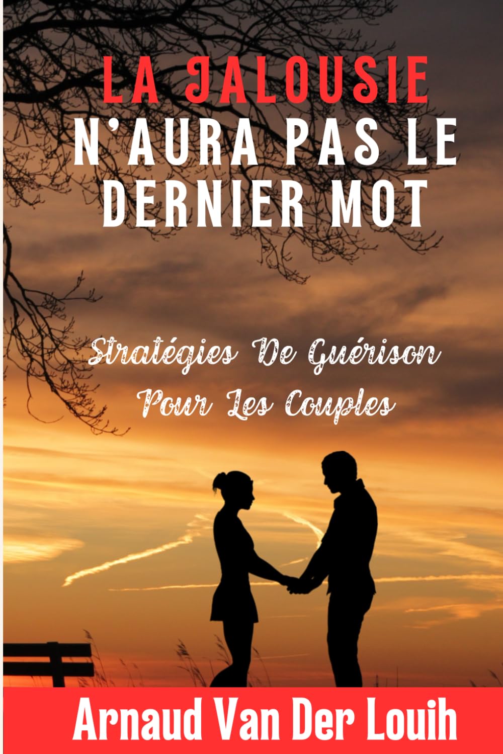 LA JALOUSIE N'AURA PAS LE DERNIER MOT: Stratégies De Guérison Pour Les Couples book