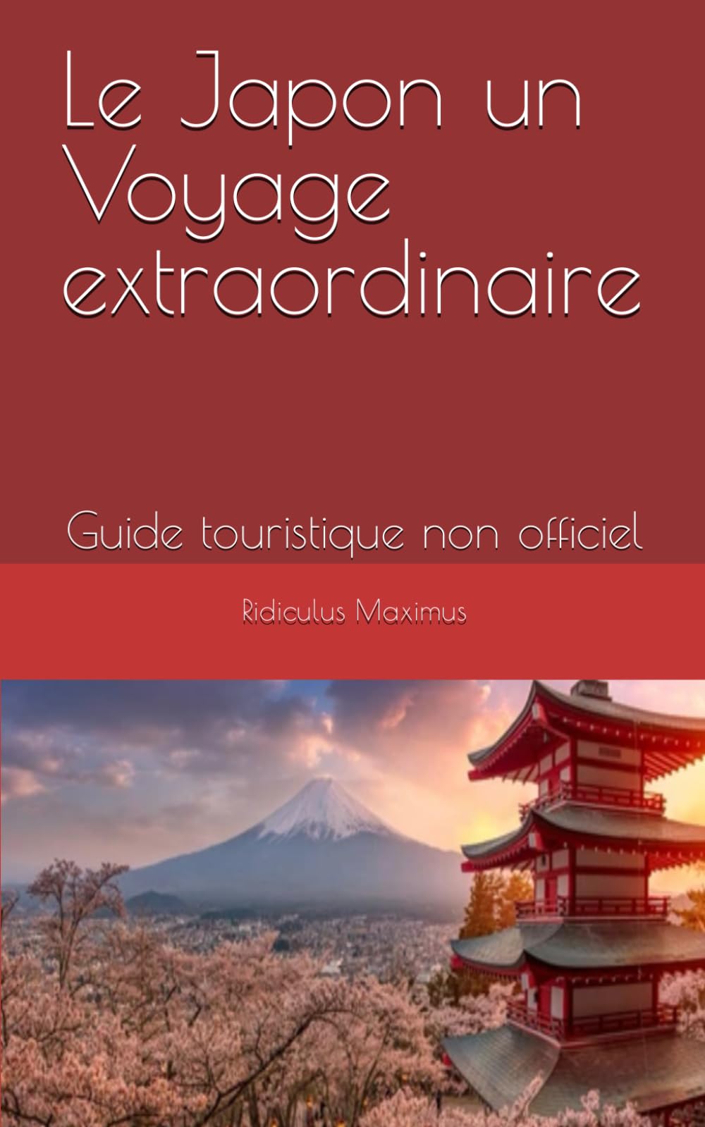 Le Japon un Voyage extraordinaire: Guide touristique non officiel book