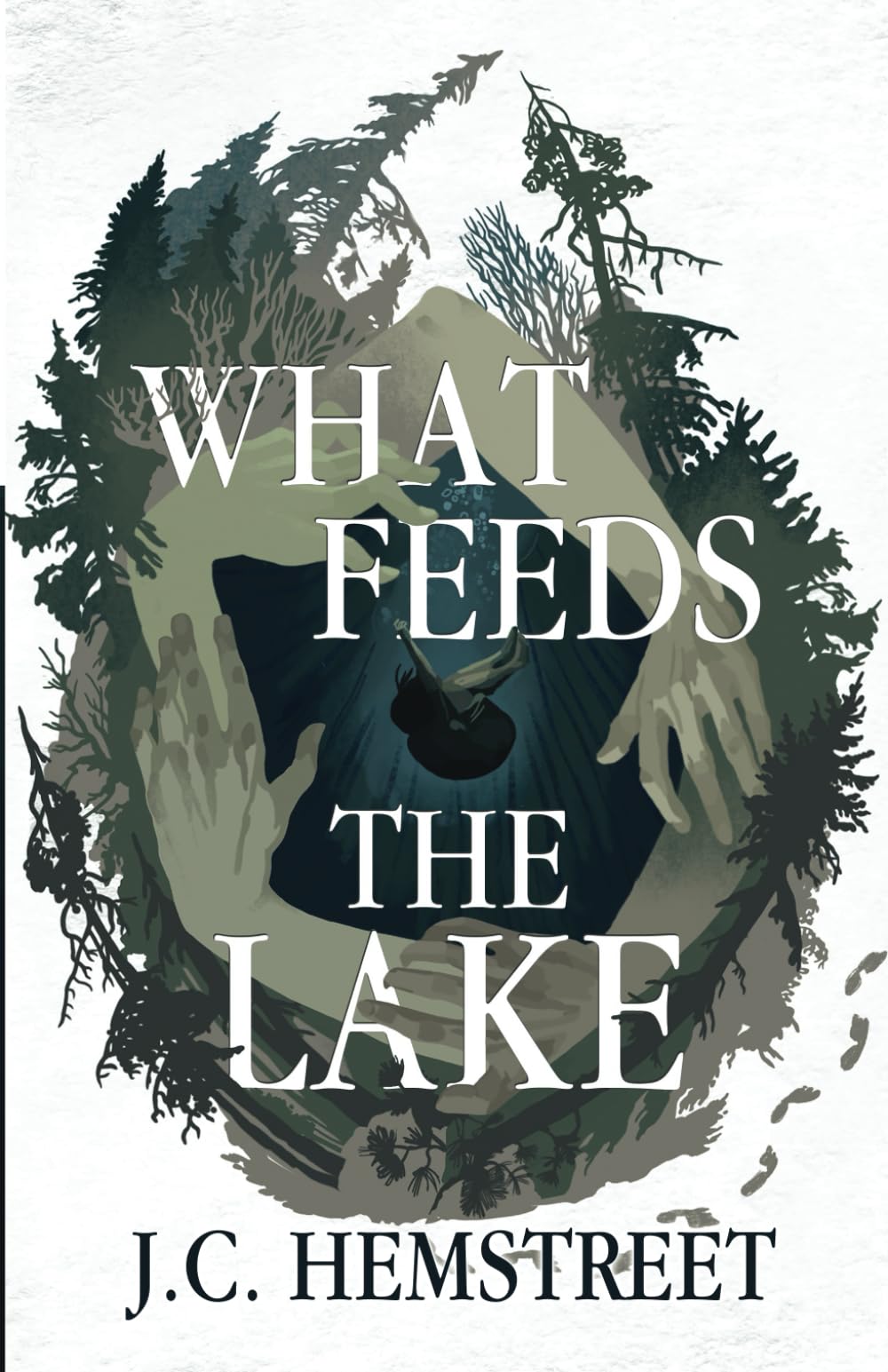 What Feeds The Lake book