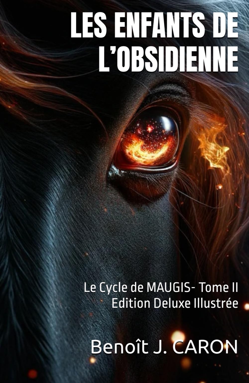 LES ENFANTS DE L’OBSIDIENNE: Le Cycle de MAUGIS Tome II book