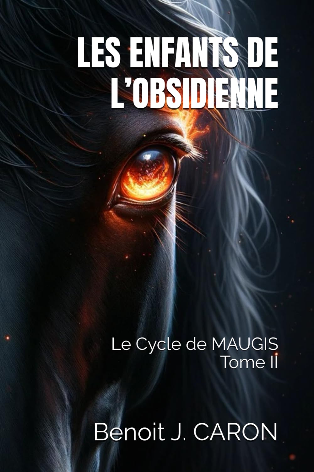 LES ENFANTS DE L’OBSIDIENNE: Le Cycle de MAUGIS Tome II book