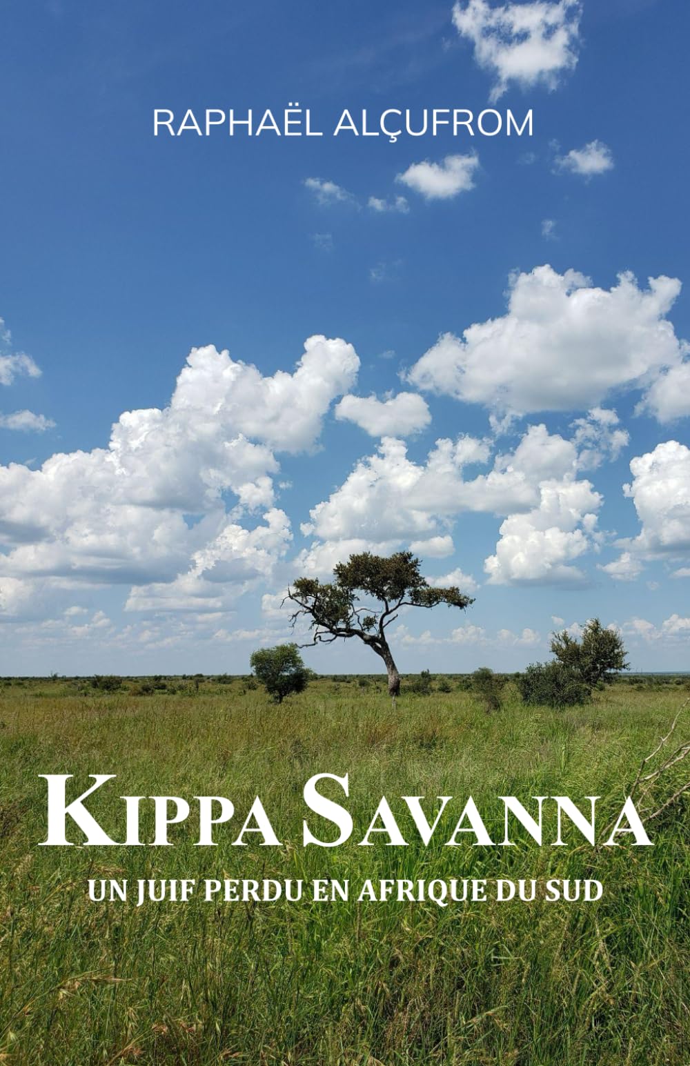Kippa Savanna: Un juif perdu en Afrique du Sud book