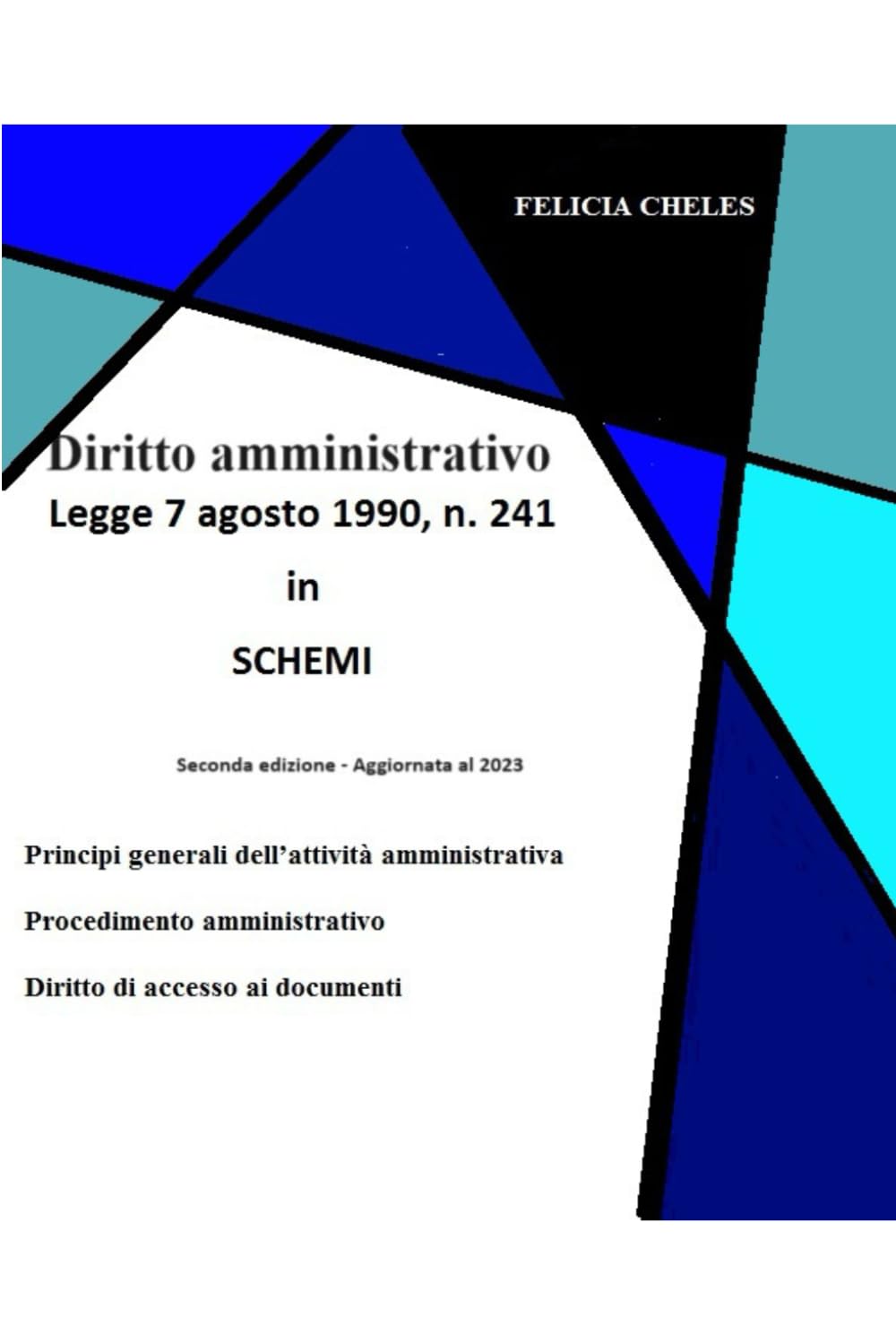 Diritto amministrativo - Legge 7 agosto 1990 n.241 in SCHEMI: Aggiornata al 2023 book