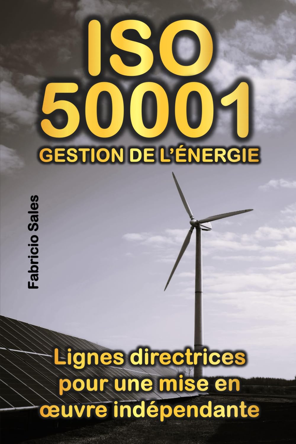 ISO 50001 Gestion de l’énergie: Lignes directrices pour une mise en œuvre indépendante book
