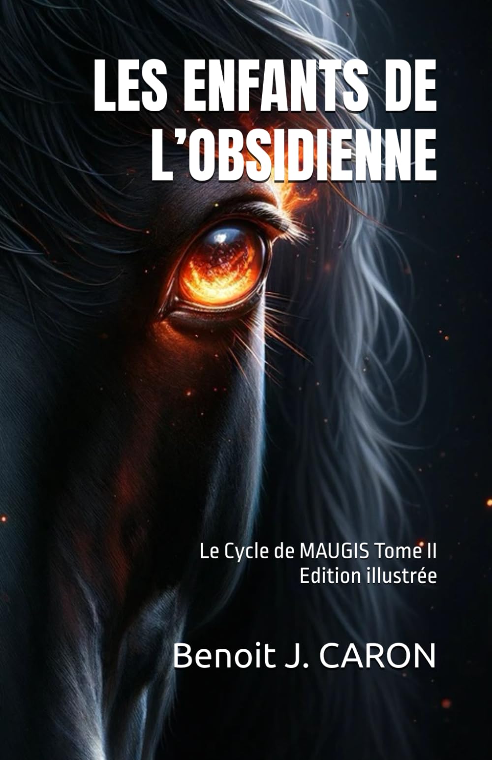 LES ENFANTS DE L’OBSIDIENNE: Le Cycle de MAUGIS Tome II book