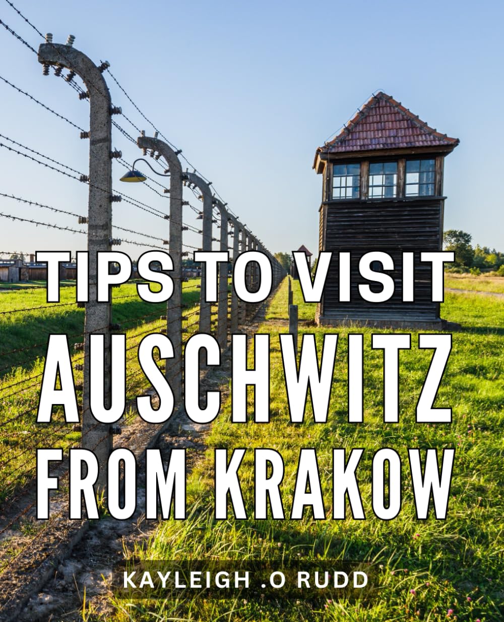 Tips To Visit Auschwitz From Krakow: Exploring the Auschwitz Memorial: Essential Advice for a Meaningful Journey from Krakow Politics & Society