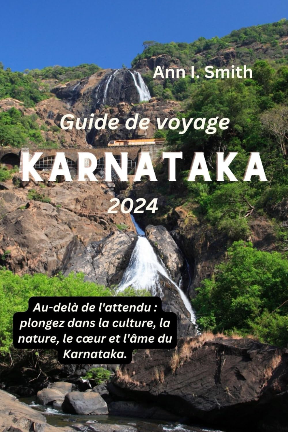 GUIDE DE VOYAGE KARNATAKA 2024: Au-delà de l'attendu : plongez dans la culture, la nature, le cœur et l'âme du Karnataka. book