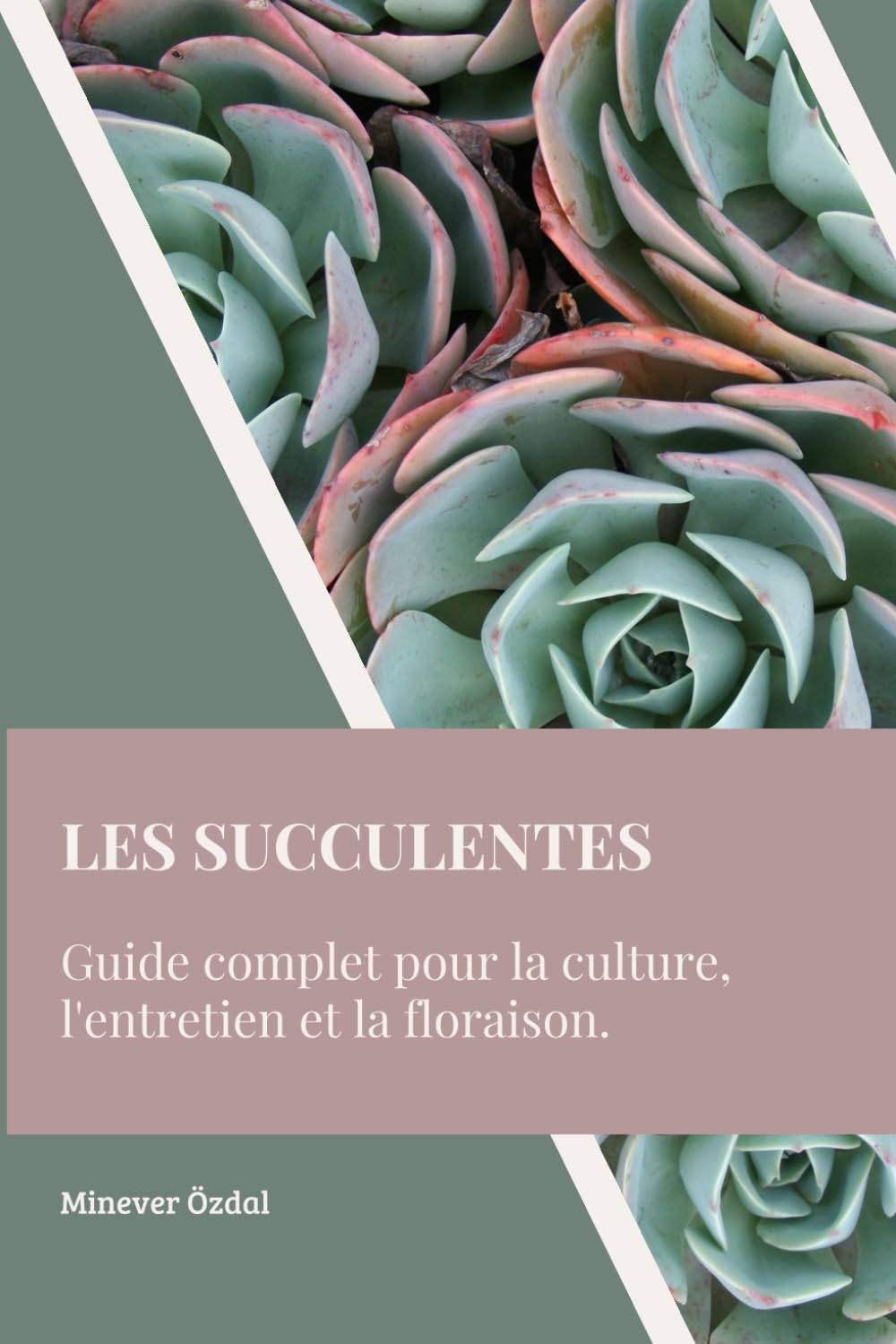 Les Succulentes : Guide complet pour la culture, l'entretien et la floraison book