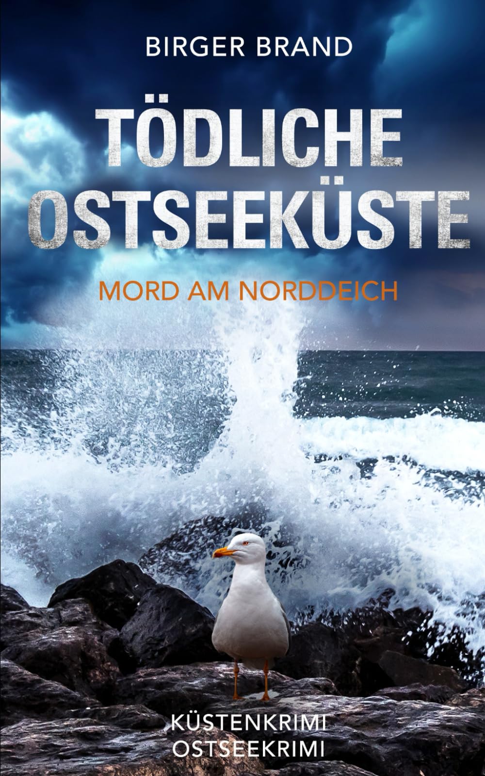 Tödliche Ostseeküste - Mord am Norddeich: Ostseekrimi - Küstenkrimi (Lydia Westphal, Band 11) Action & Adventure