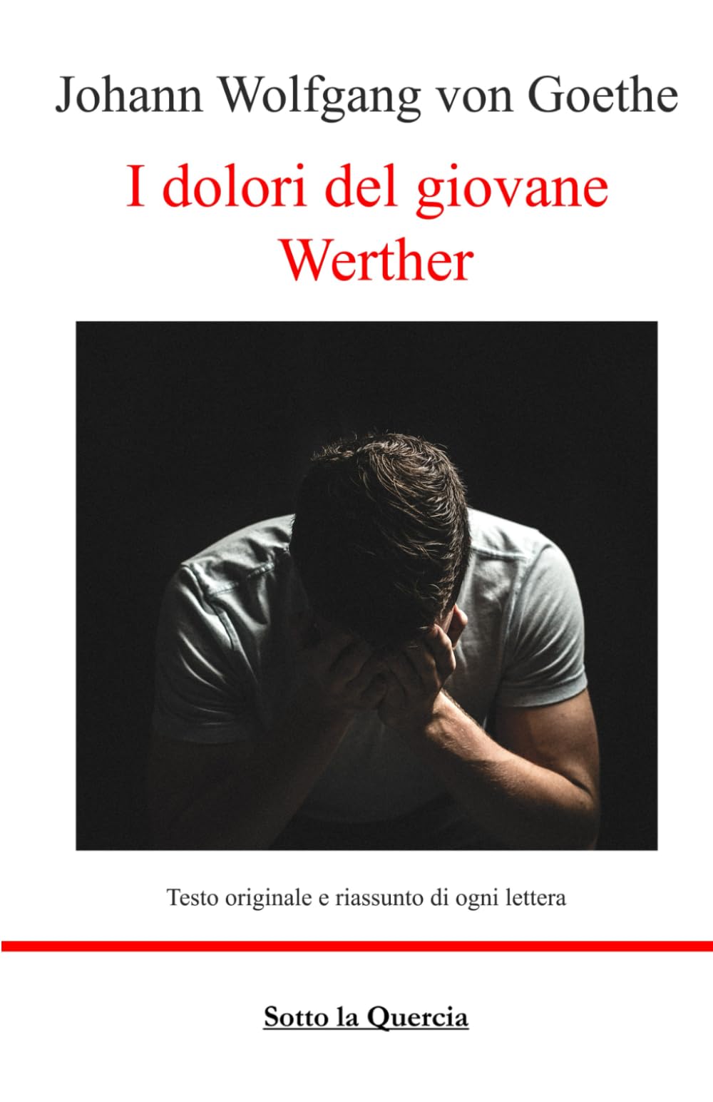 I dolori del giovane Werther: Edizione integrale con riassunto di ogni lettera (tradotto) Nuova traduzione book