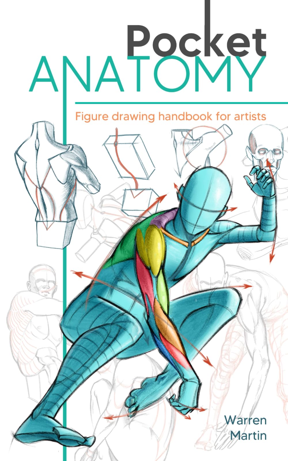Pocket Anatomy: Figure Drawing Handbook in Color for Artists, Learning How to Draw Human Body by Simplifying the Complex Structures of the Body and Understanding the Human Form Arts & Music