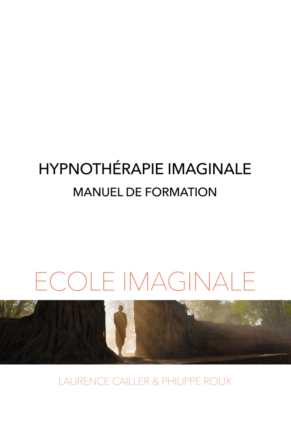 Formation à l'hypnothérapie imaginale: Découvrez l'art perdu de l'imagination de pleine conscience book