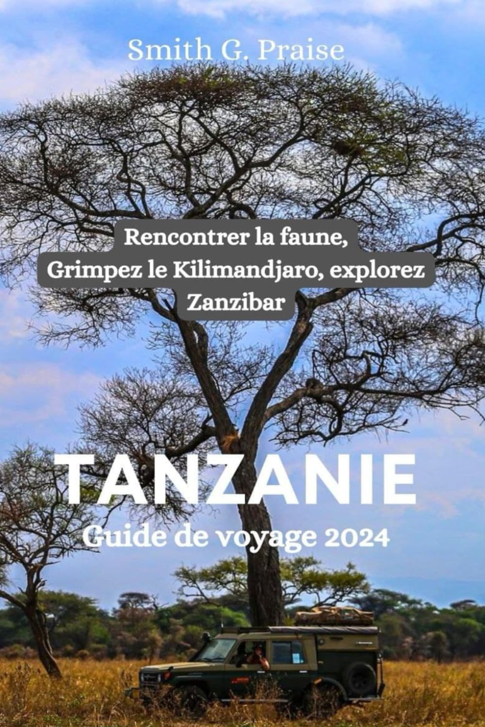 Tanzanie Guide de voyage 2024: Rencontrer la faune, Grimpez le Kilimandjaro, explorez Zanzibar book