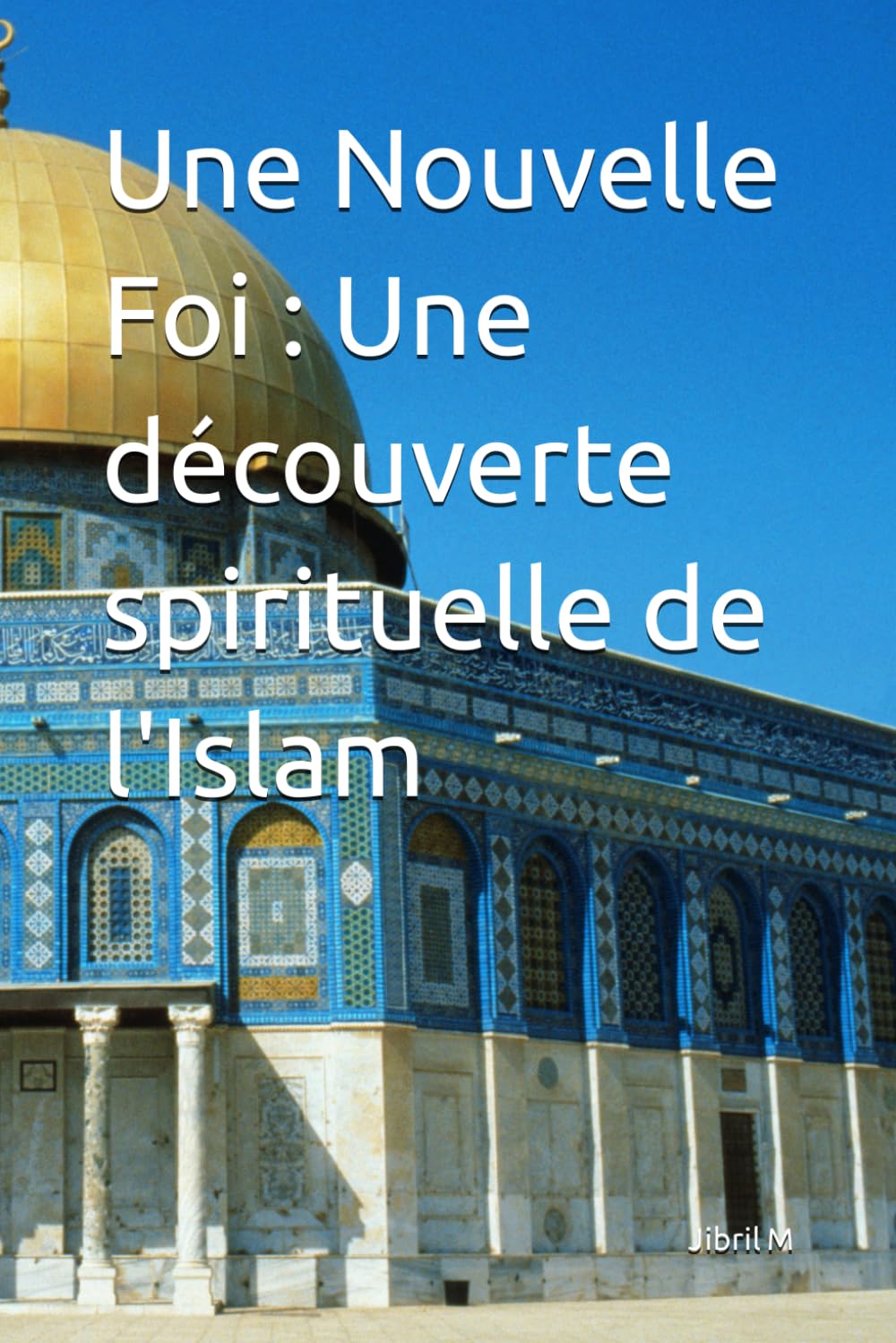 Une Nouvelle Foi : Une découverte spirituelle de l'Islam book