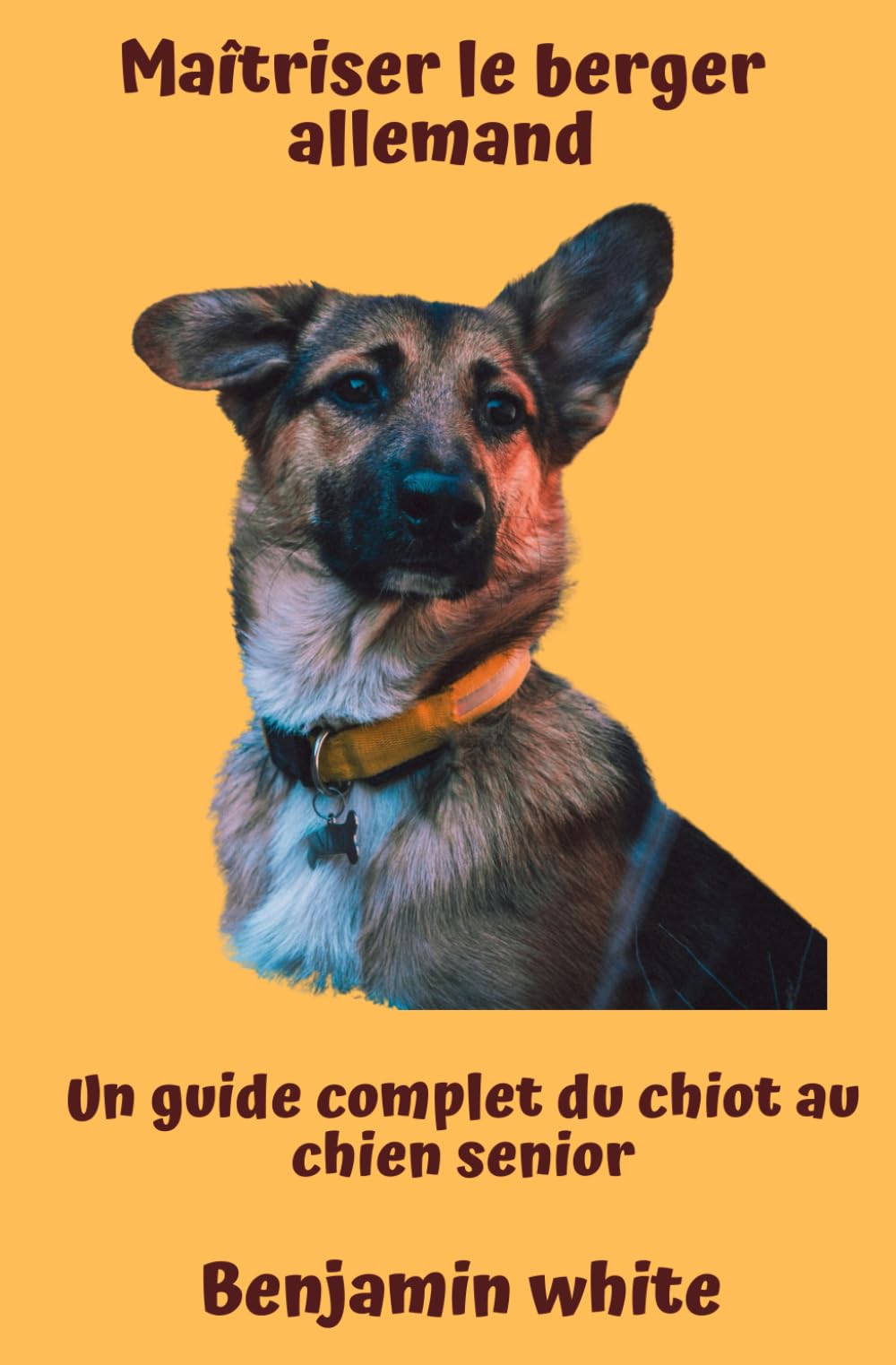 Maîtriser le berger allemand : Un guide complet du chiot au chien senior: De la Formation à la Fidélité: Élever et Comprendre votre Berger Allemand à Chaque Étape de sa Vie book