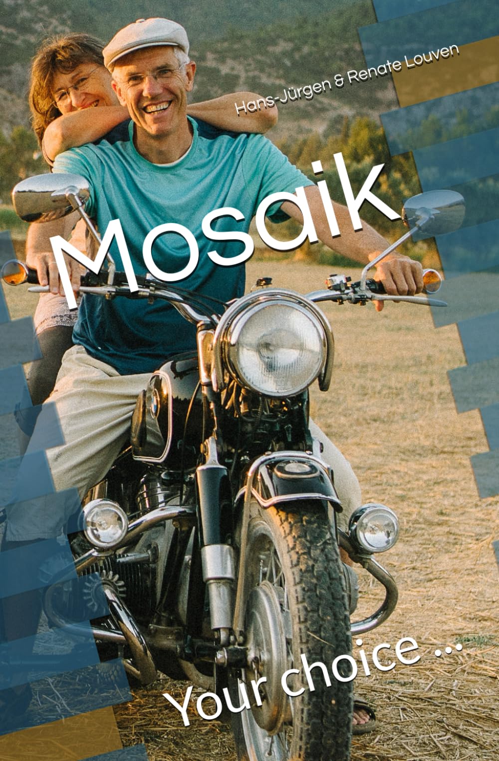 Mosaik: Your choice ... Politics & Society