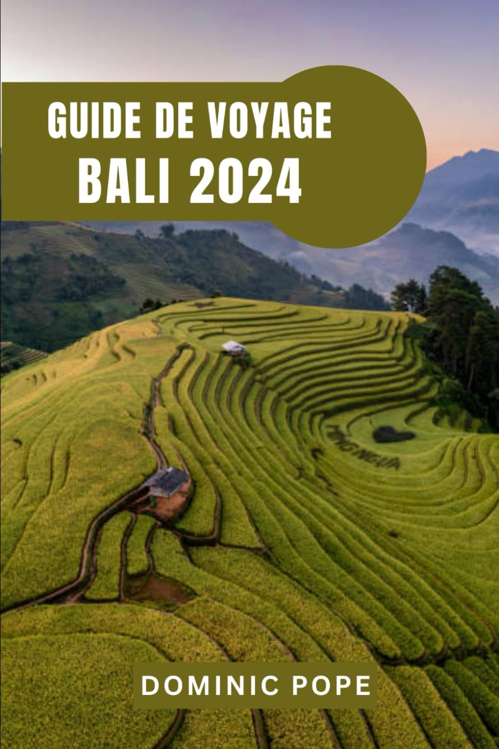 GUIDE DE VOYAGE BALI 2024: Plonger dans le joyau de l'Indonésie : votre compagnon ultime pour explorer la beauté et la culture de Bali Travelogues