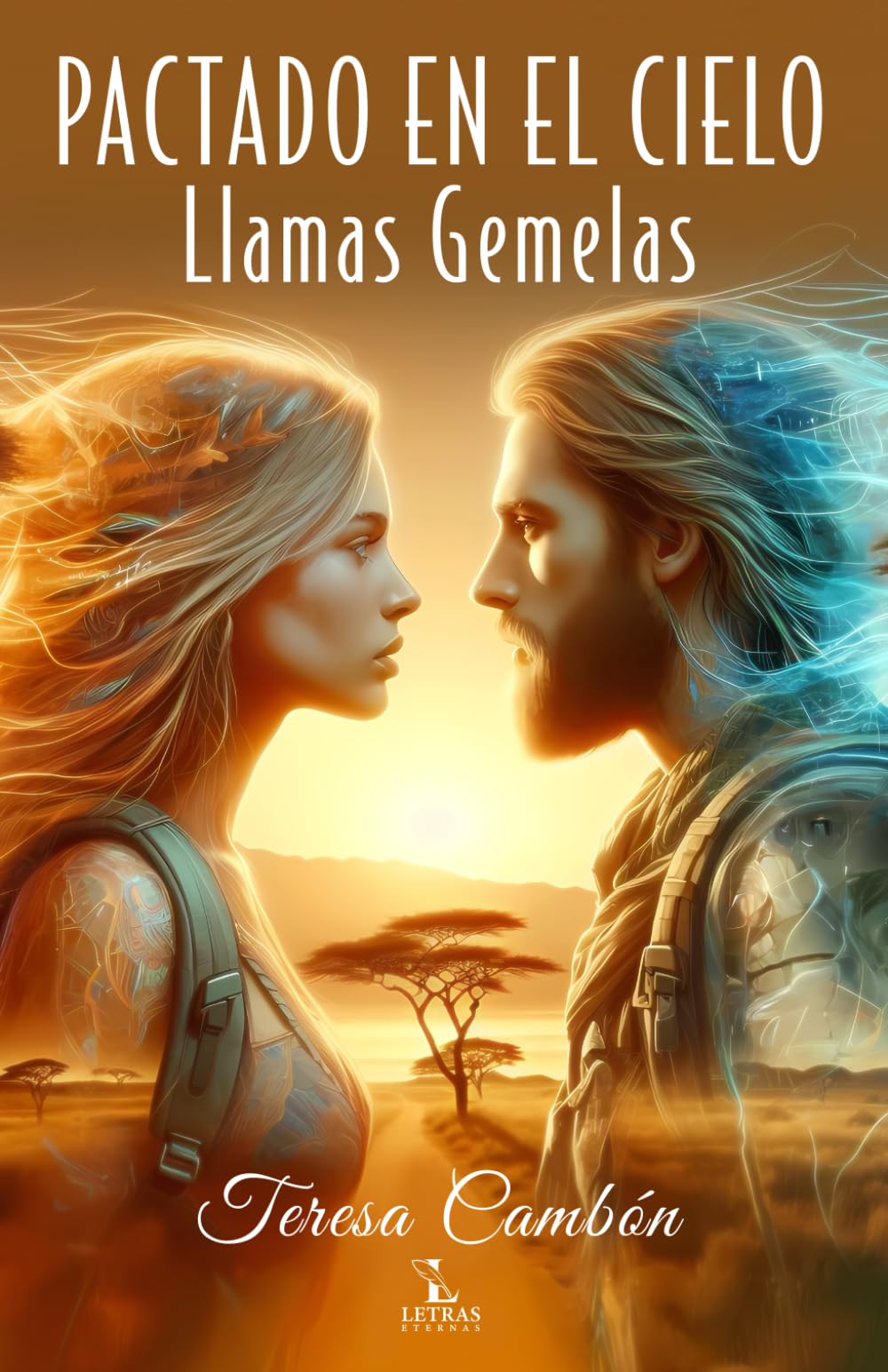 PACTADO EN EL CIELO - LLAMAS GEMELAS: Llamas Gemelas book