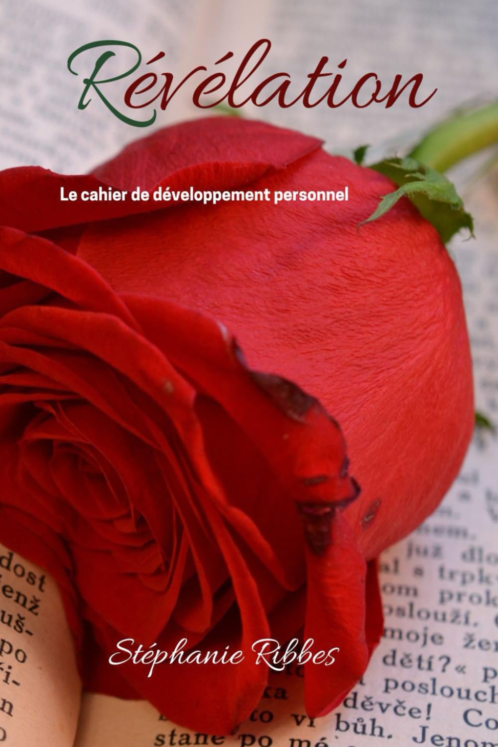 Révélation: Le cahier de développement personnel book
