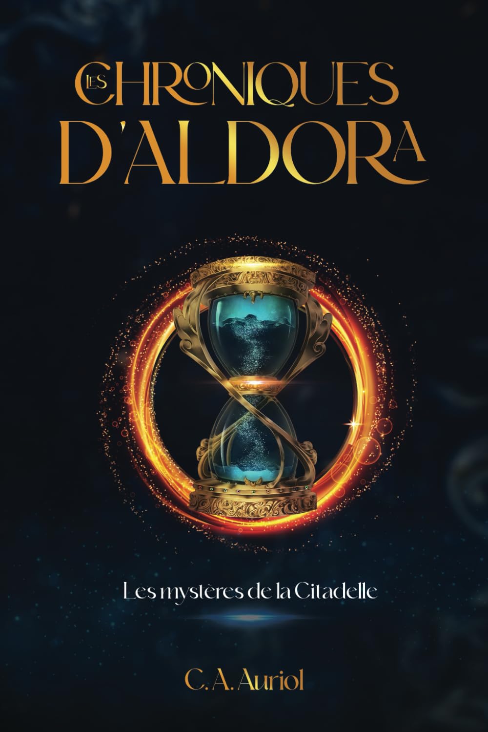 Les chroniques d'Aldora: Les mystères de la Citadelle book